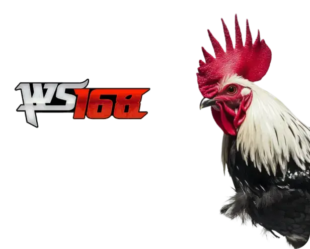 WS168