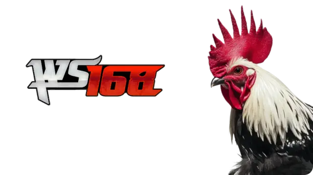 WS168