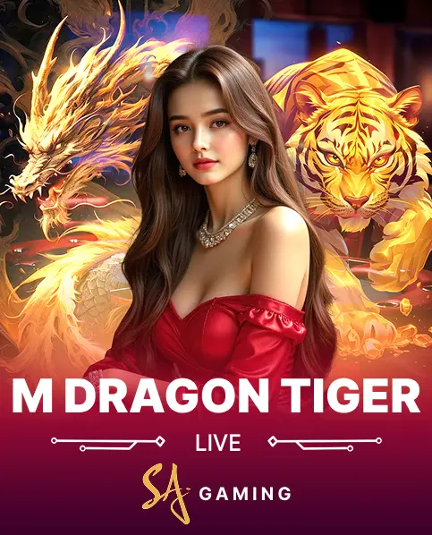 M Dragon Tiger