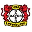 Bayer Leverkusen flag