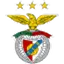 Benfica flag