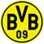 Borussia Dortmund flag