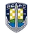 Auckland City flag