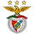Benfica flag
