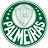 Palmeiras flag