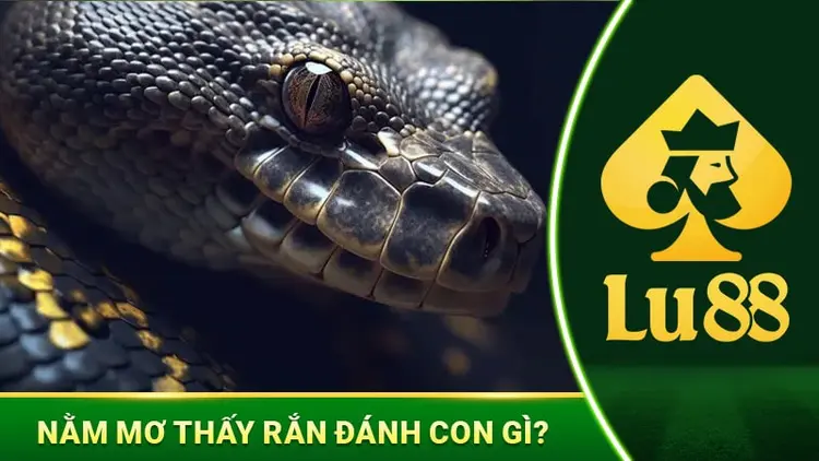 Nằm Mơ Thấy Rắn Đánh Con Gì Nếu Muốn Ăn Đậm?