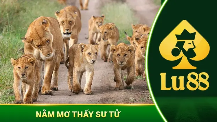 Nằm Mơ Thấy Sư Tử Và Ý Nghĩa Đằng Sau Chiêm Bao